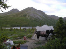 A horse trip on Grizzly Mountain with Yukon Horsepacking Adventures.