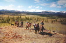 On a trail ride in the Yukon with Yukon Horsepacking Adventures.