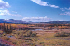 On a trail ride in the Yukon with Yukon Horsepacking Adventures.