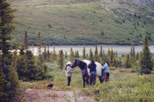 Yukon Horsepacking Adventures.