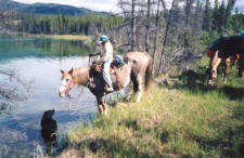 Rusty and partner take a break along the Dawson Trail, Yukon.