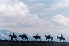 Pack Trip on Potato Range