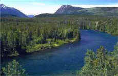 Fishing the ledges of 'Blue Ribbon' Chilko River