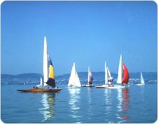 Sailboats
