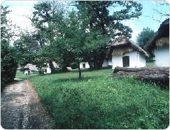 C�k Cellars