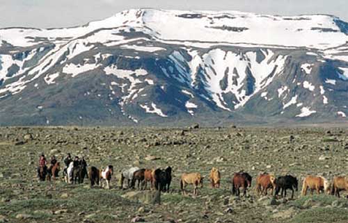 Between Glaciers into the Desert Wilderness