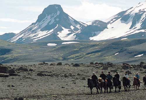 Between Glaciers into the Desert Wilderness