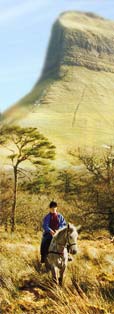 Special Offer - Horse Riding Holidays