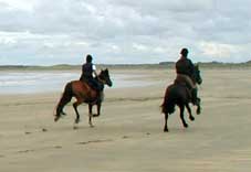 Three days trail riding at the Sea