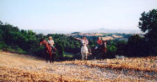 toscanatrail019.jpg
