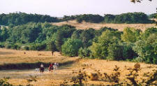 toscanatrail026.jpg