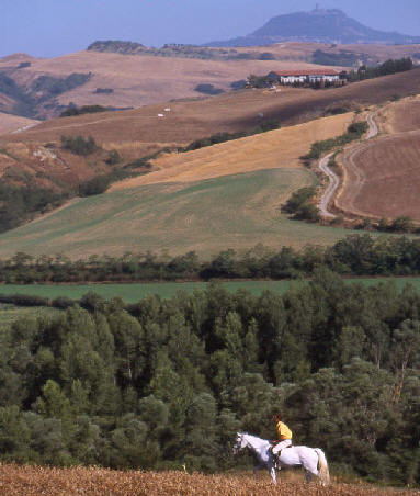 toscanatrail005.jpg