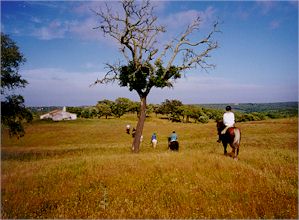 Return into the hillside of Alentejo country