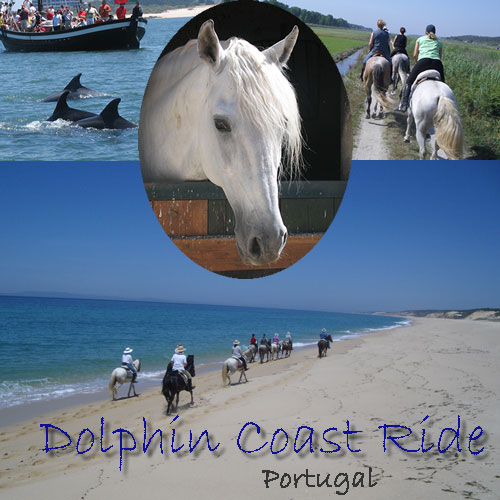 Dolphin Coast Ride - Blue Coast  with Hidden Trails
