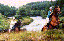 Horses and Riders