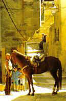Andalusian Riding Vacations