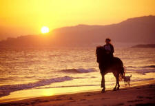 BeachSunsetFiona