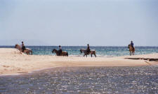 BeachValdevaqueros