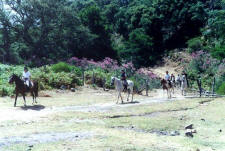 ExcursionAlcornocales