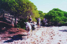 ExcursionPalomaBaja