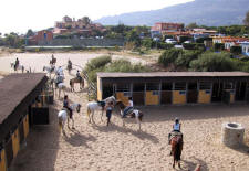 StableAndHotel