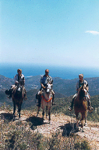 grup cap de creus.gif (169290 bytes)