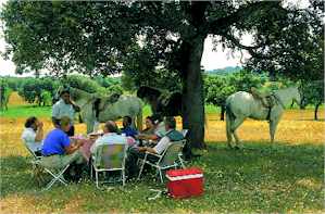 Lunch on Gredos Mountain ride