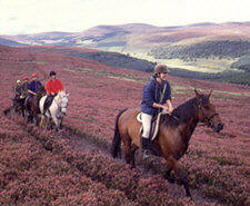Cromdale Mountains, Scottland