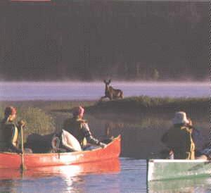 Canoeing Bowron Lakes - Photo by Chris Harris