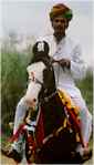 Indian Guide