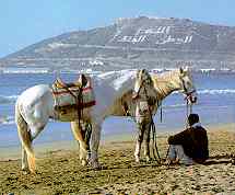 Short Break on the Beach