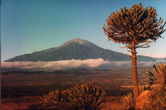 Mt.Meru