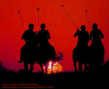 Polo at Casa de Campo