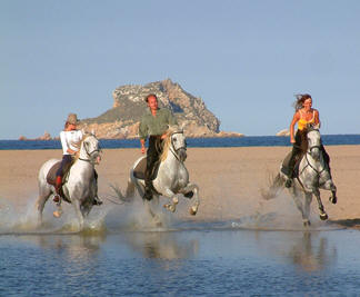 Beach gallop in Catalonia, Spain