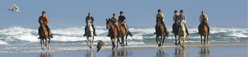 On Horseback in France with Hidden Trails - Cote d'Argent