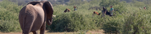 On horseback in Botswana - Safari with Hidden Trails