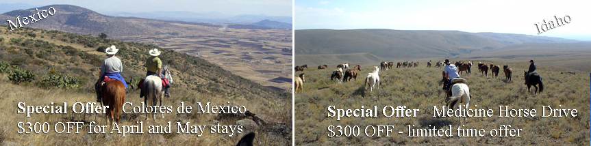 Special Offers for horseback riding trips in Mexico and Horse Drive in Idaho