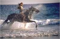 Riding the beaches of Spain