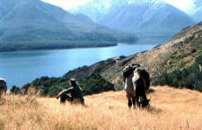 A stop at Lake Sumner gives a chance for a rest while enjoying the scenery.