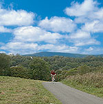Quiet lanes of Pembrokeshire