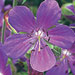Images of Pembrokeshire