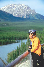 Canadian Rockies overlooking