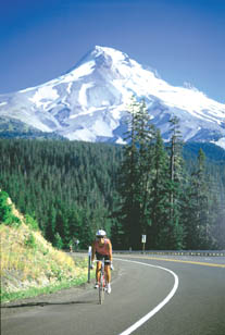 cyclist at rainier