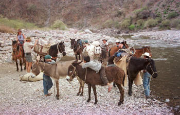 Traveling lightly & not-so-lightly