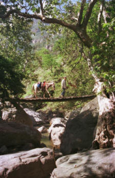 This used to be the only way across heading into Naranjo