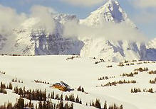 powder snow fills the alpine meadows surrounding Purcell Lodge - a skiers dream