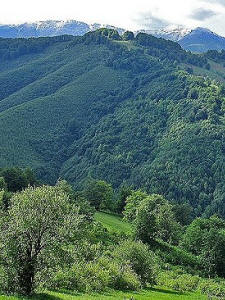 Transbalkan Trek
