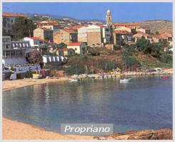 Propriano