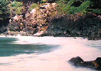 [West Coast Trail Scenery]