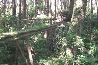 Logan Creek